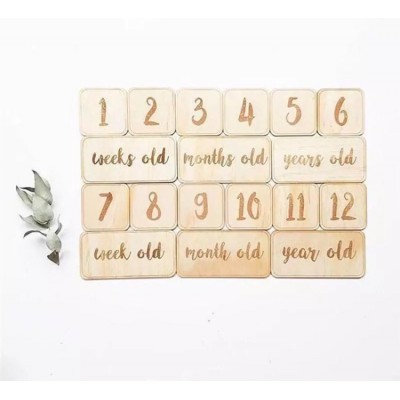 Milestone Cards, Baby's First Year, Monthly Photo Picture Props